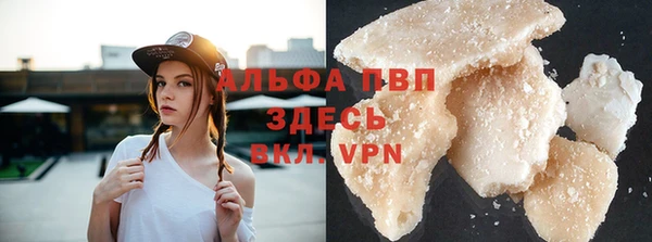 крисы Горняк
