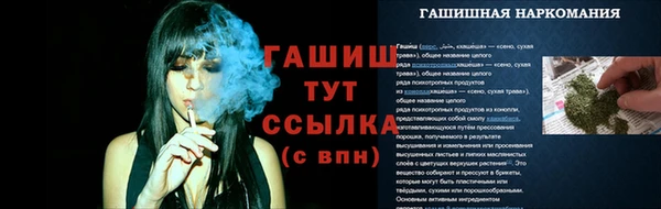 крисы Горно-Алтайск