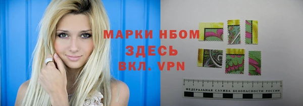 крисы Горняк