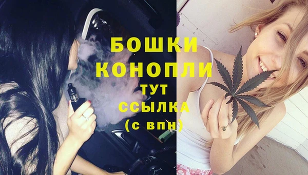 крисы Горняк