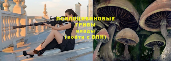 крисы Горно-Алтайск